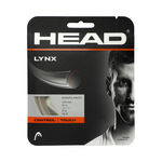 Cordajes De Tenis HEAD Lynx 12m champagner (Special Edition)